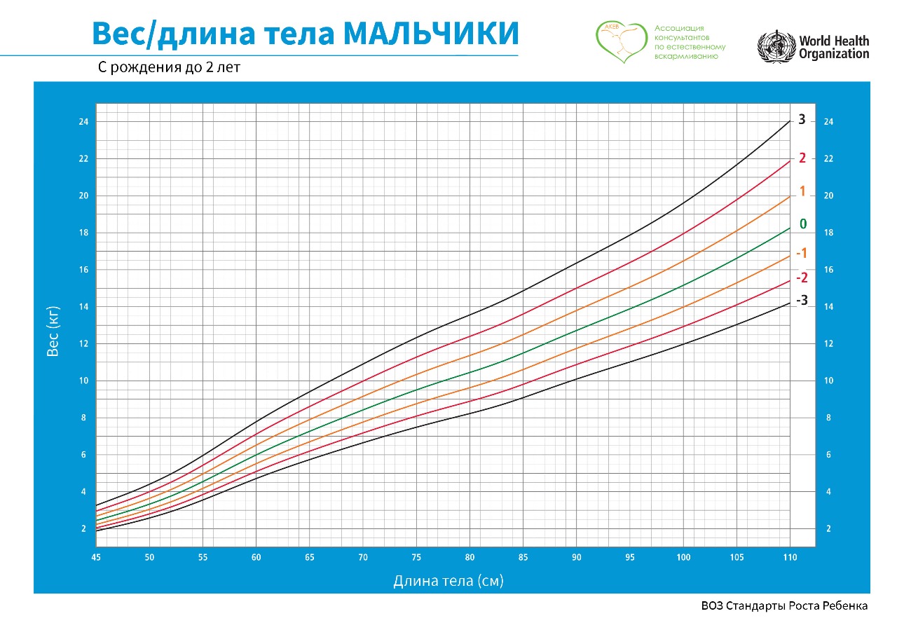 Нормы роста и веса малыша